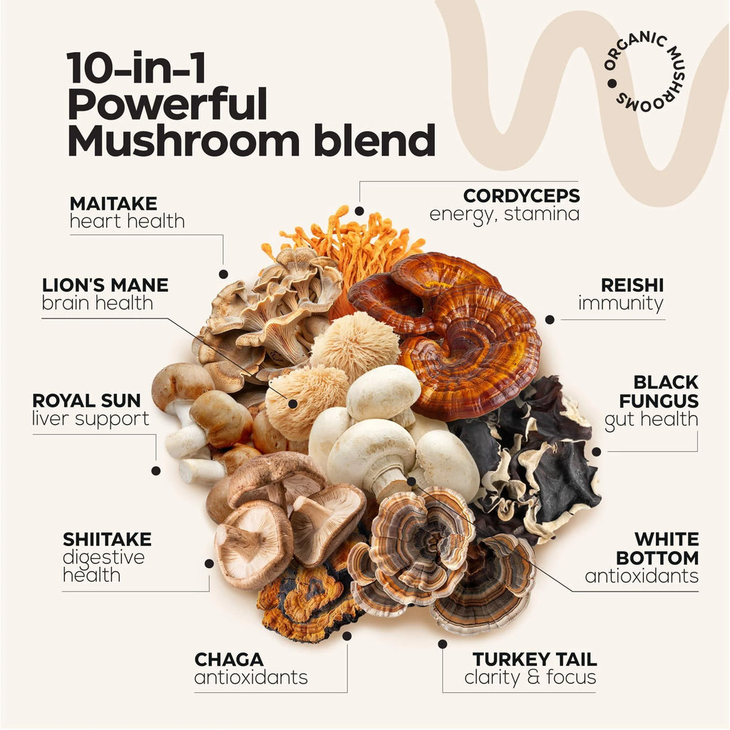 Mushroom Gummies 5000 Mg for Adults 2 Pack Lions Mane 9 Adaptogenic Mushrooms